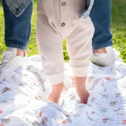 Aden + Anais Blankets & Quilts*- Essential Elephant Circus Baby Blanket