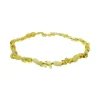 The Amber Monkey Amber Necklaces*Amber Monkey - Polished Baltic Amber 10-11 inch Necklace, Lemon Baroque Milk Bean POP