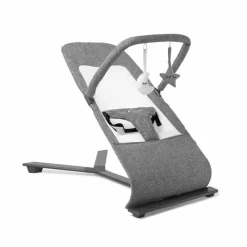Baby Delight Bouncers, Swings & Rockers|Baby Shower*- Alpine Deluxe Portable Bouncer, 0-6 months, Charcoal Tweed