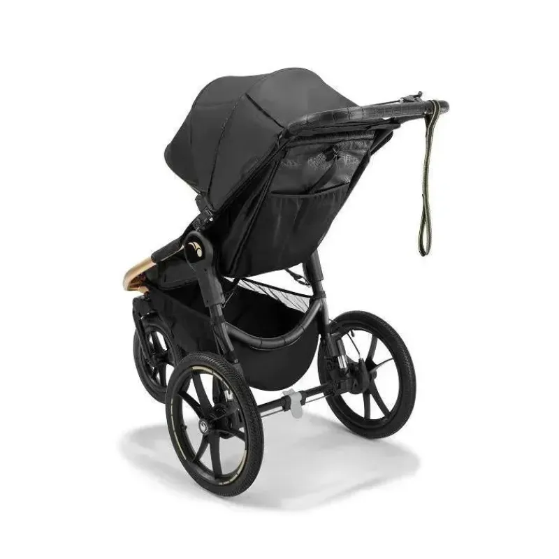 Baby Jogger Jogging Strollers*- Robin Arzon Summit X3 Jogging Stroller, City Royalty