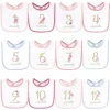 Baby Vision Baby Milestone|Birthday Party*- 12Pk Baby Girl Interlock Holiday Bibs Milestone Floral