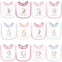 Baby Vision Baby Milestone|Birthday Party*- 12Pk Baby Girl Interlock Holiday Bibs Milestone Floral