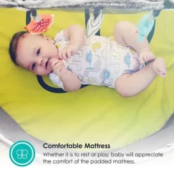 Bbluv Portable Beds & Snuggle Nests*Nidö - 2 In 1 Travel & Play Tent, Fun Canopy with UV Protection