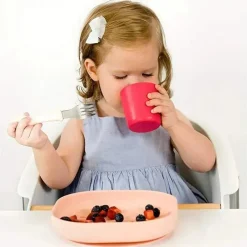 Béaba Plates & Bowls|Dishes, Utensils & Food Containers*Beaba - Silicone Suction Plate, Blush