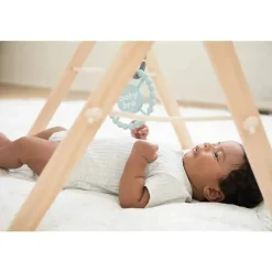 Bella Tunno Toys For 0-12 Months|Gift For Baby*- Happy Teether, Baby Bro