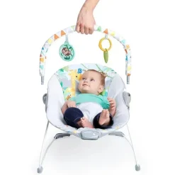 Bright Starts Bouncers, Swings & Rockers*- Baby Bouncer Soothing Vibrations Infant Seat