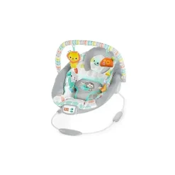 Bright Starts Bouncers, Swings & Rockers*Whimsical Wild Cradling Bouncer