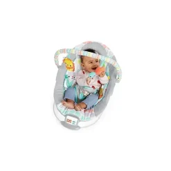 Bright Starts Bouncers, Swings & Rockers*Whimsical Wild Cradling Bouncer