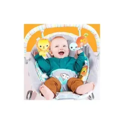 Bright Starts Bouncers, Swings & Rockers*Whimsical Wild Cradling Bouncer