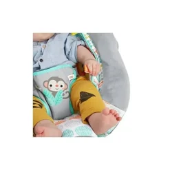 Bright Starts Bouncers, Swings & Rockers*Whimsical Wild Cradling Bouncer