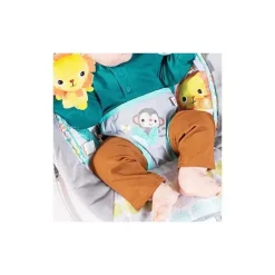 Bright Starts Bouncers, Swings & Rockers*Whimsical Wild Cradling Bouncer