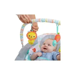 Bright Starts Bouncers, Swings & Rockers*Whimsical Wild Cradling Bouncer