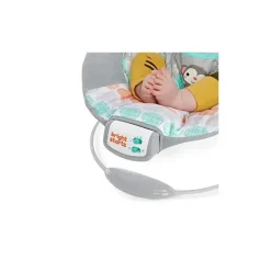 Bright Starts Bouncers, Swings & Rockers*Whimsical Wild Cradling Bouncer