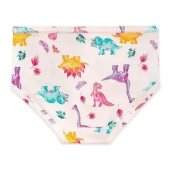 Burt's Bees Baby Clothing Gift Set|Baby Underwear*Burts Bees - 5Pk Dino Friends & Tie Dye Underwear