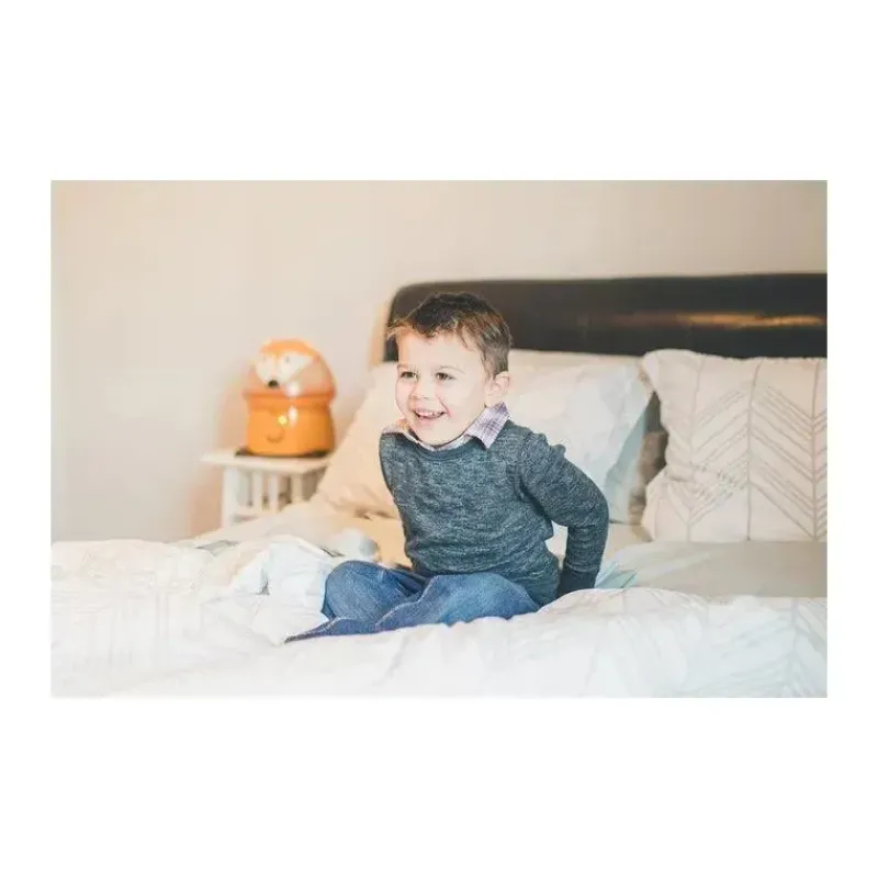 Crane Cool Baby Products|Gifts Over $50*Adorable 1 Gal. Ultrasonic Cool Mist Humidifier Fox