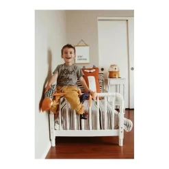 Crane Cool Baby Products|Gifts Over $50*Adorable 1 Gal. Ultrasonic Cool Mist Humidifier Fox