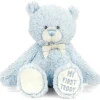 Demdaco Gender Reveal*- Gender Reveal Teddy Bear, Boy