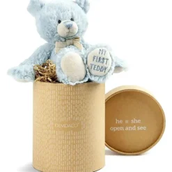 Demdaco Gender Reveal*- Gender Reveal Teddy Bear, Boy