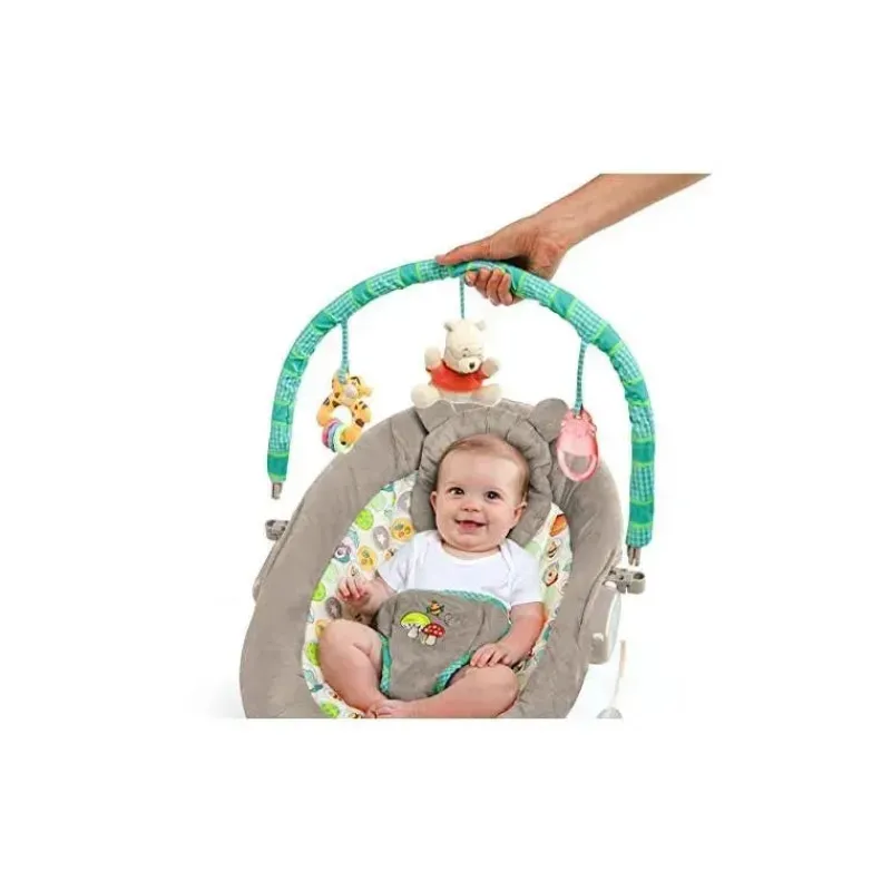 Disney Bouncers, Swings & Rockers*Baby Winnie The Pooh Bouncer, Dots & Hunny Pots