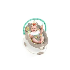 Disney Bouncers, Swings & Rockers*Baby Winnie The Pooh Bouncer, Dots & Hunny Pots