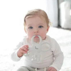 Dr. Brown's Rattles & Teethers|Toys For 0-12 Months*Dr. Brown's - Flexees Bunny Silicone Teether, Gray
