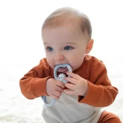Dr. Brown's Rattles & Teethers|Toys For 0-12 Months*Dr. Brown's - Flexees Sloth Silicone Teether, Blue