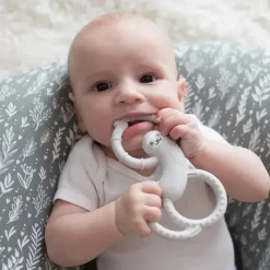 Dr. Brown's Rattles & Teethers|Toys For 0-12 Months*Dr. Brown's - Flexees Sloth Silicone Teether, Gray