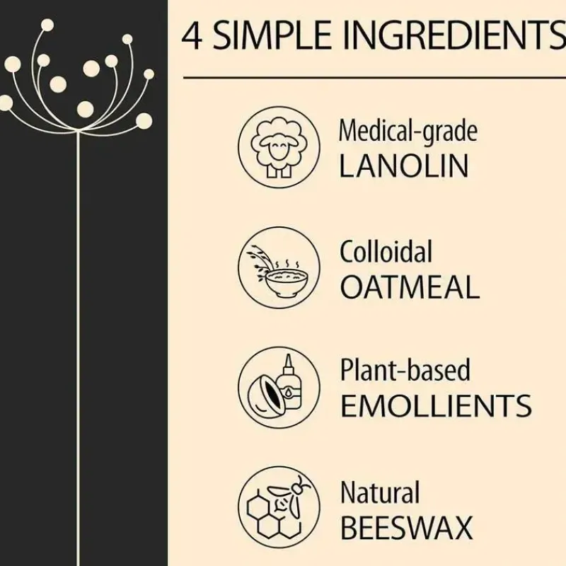 Dr. Brown's Mom Skincare & Beauty Products*Dr. Brown's - Lanolin+ Nipple Balm, 4.15 G/ 0.15 Oz.
