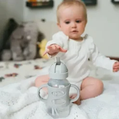 Dr. Brown's Straw, Sippy & Training Cups|Dishes, Utensils & Food Containers*Dr. Brown's - Wide-Neck Sippy Straw Bottles W/ Silicone Handles, Gray