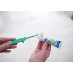 Dr. Brown's Oral & Nasal Care*Dr. Brown's Toddler Toothbrush, Crocodile