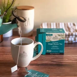 Earth Mama Maternity Health & Wellness|Gift For Mom*- Organic Ginger Nausea Tea