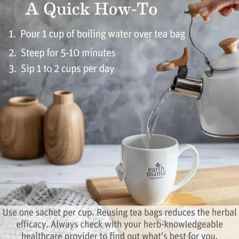 Earth Mama Maternity Health & Wellness|Gift For Mom*- Organic Ginger Nausea Tea