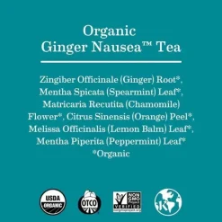 Earth Mama Maternity Health & Wellness|Gift For Mom*- Organic Ginger Nausea Tea