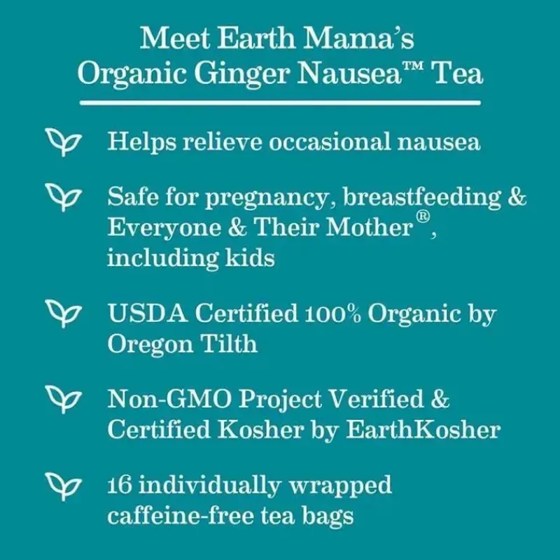 Earth Mama Maternity Health & Wellness|Gift For Mom*- Organic Ginger Nausea Tea