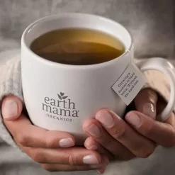 Earth Mama Maternity Health & Wellness|Gift For Mom*- Organic Heartburn Tea