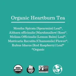 Earth Mama Maternity Health & Wellness|Gift For Mom*- Organic Heartburn Tea