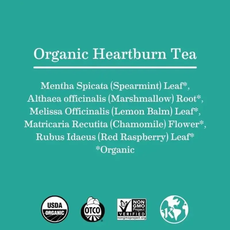 Earth Mama Maternity Health & Wellness|Gift For Mom*- Organic Heartburn Tea