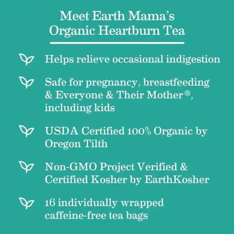 Earth Mama Maternity Health & Wellness|Gift For Mom*- Organic Heartburn Tea