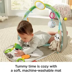 Fisher-Price Gifts Over $50*Fisher Price Ready to Hang Sensory Sloth Infant Gym