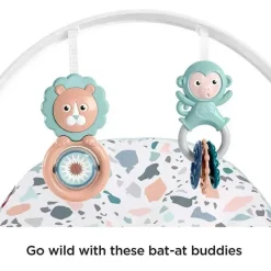 Fisher-Price Bouncers, Swings & Rockers*Infant-to-Toddler Rocker, Pebbles