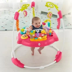 Fisher-Price Activity Centers & Jumpers*Jumperoo, Petals Pink