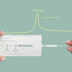 FridaBaby Fertility*Frida Fertility - 60 Strips Ovulation Prediction Test