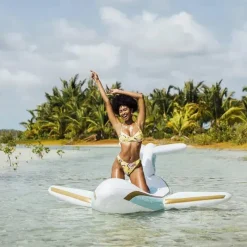 Funboy Life Vests & Floats*- Giant Inflatable Luxury Private Jet Airplane Pool Float