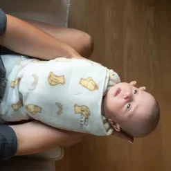 Halo Swaddles & Wearable Blankets*- Sunshine Winnie Micro Fleece Sleepsack Swaddle