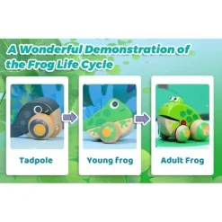 Hape Pretend Play|Toys For 2 Year Old*- Pull Along Frog Family with Anti-Rollover Wheels