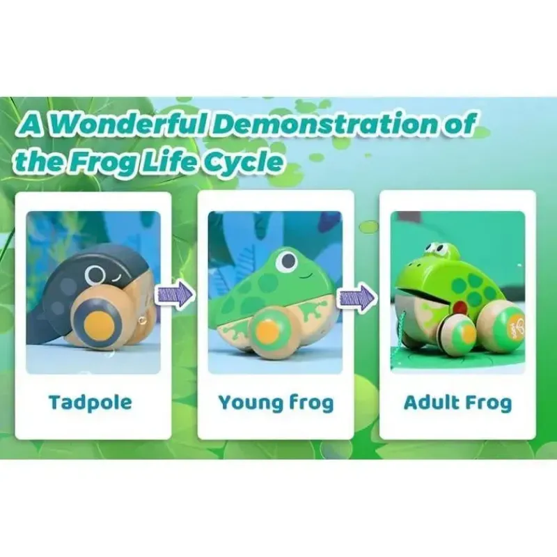 Hape Pretend Play|Toys For 2 Year Old*- Pull Along Frog Family with Anti-Rollover Wheels