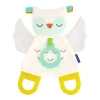 Infantino Toys For 0-12 Months|Gift For Baby*- Glow-In-The-Dark Cuddly Teether, Owl
