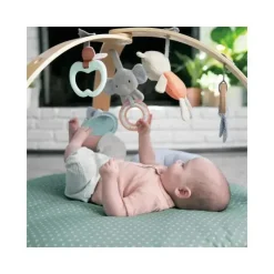 Ingenuity Playmats & Gyms|Toys For 0-12 Months*- Cozy Spot Reversible Duvet Activity Gym, Loamy
