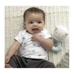 Ingenuity Rattles & Teethers|Toys For 0-12 Months*- Premium Soft Plush Ring Rattle