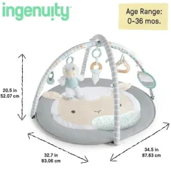 Ingenuity Playmats & Gyms|Toys For 0-12 Months*- Sheppy’s Spot Ultra Plush Baby Activity Gym & Tummy Time Mat